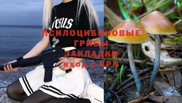 каннабис Корсаков