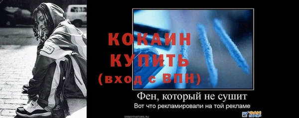 дживик Бронницы