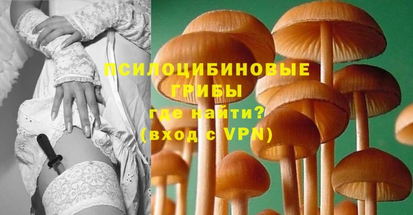 молекула духа Бугульма