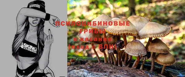 молекула духа Бугульма