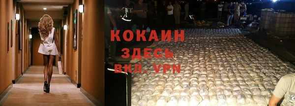 каннабис Корсаков